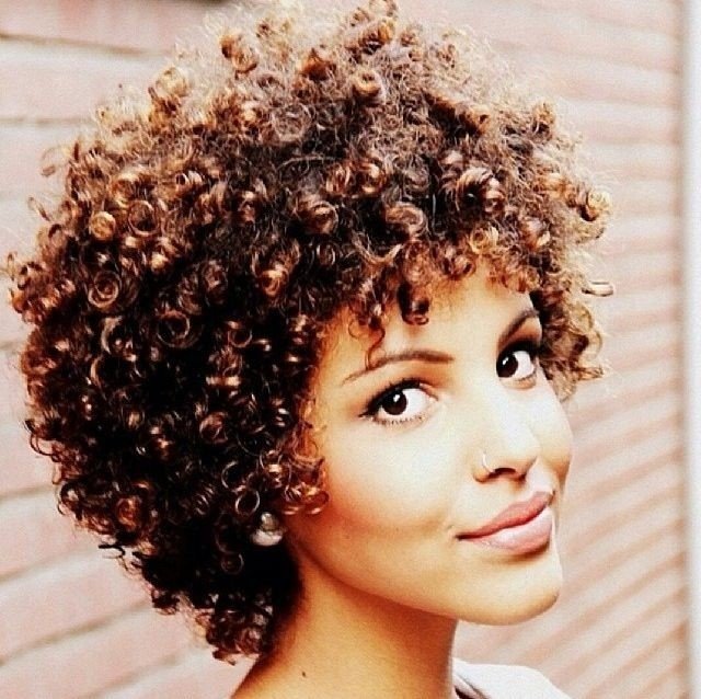 Curly Afro Hairstyles