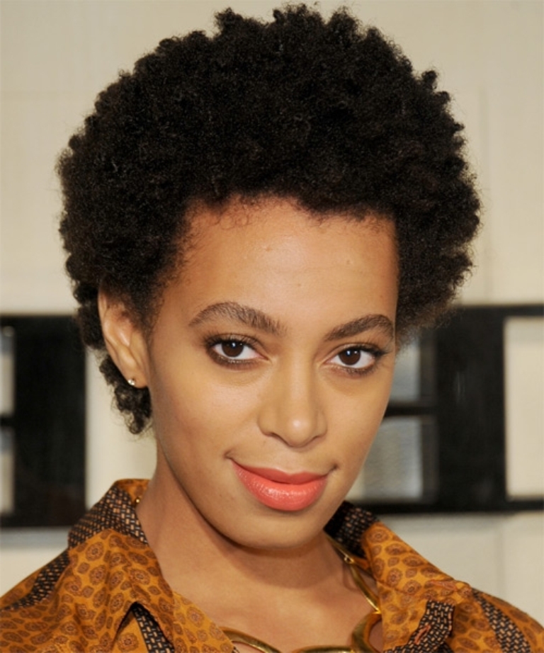 Short Natural African American Hairstyles Pictures
