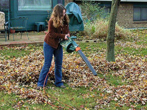 Why Getting a Backpack Leaf Blower For Your Yard is such a Smart Investment