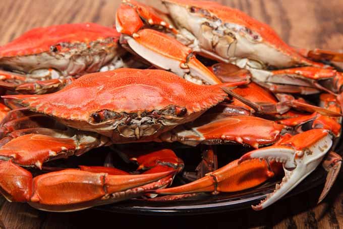 Benefits and Features of Dungeness Crab Legs