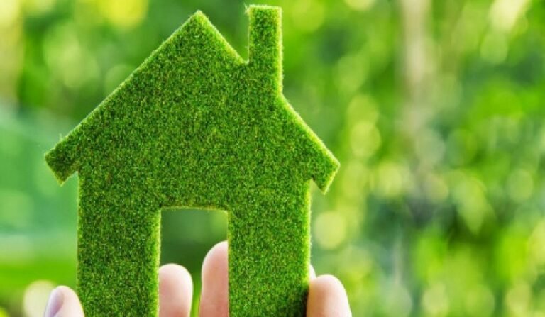 3 Eco-Friendly Alternatives For Your Daily Use